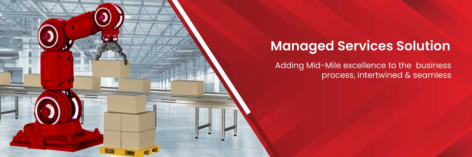 Vision India Managed Service